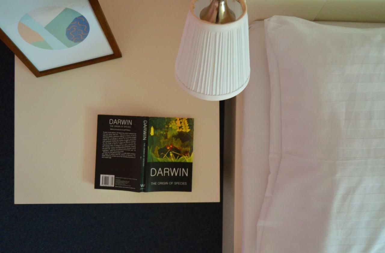 Motel Gombas エクステリア 写真
